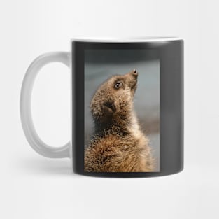 Meerkat Portrait Mug